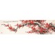 Plum - CNAG004188
