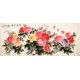 Peony - CNAG004189