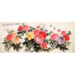 Peony - CNAG004189