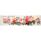 Peony - CNAG004193