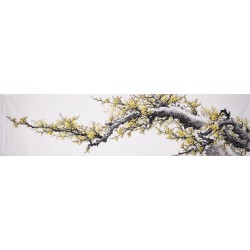 Plum - CNAG004195