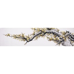 Plum - CNAG004196