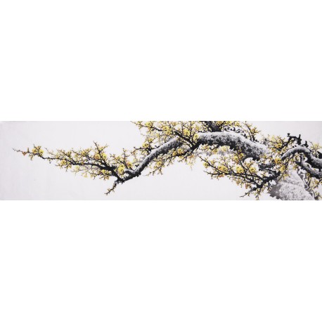 Plum - CNAG004196