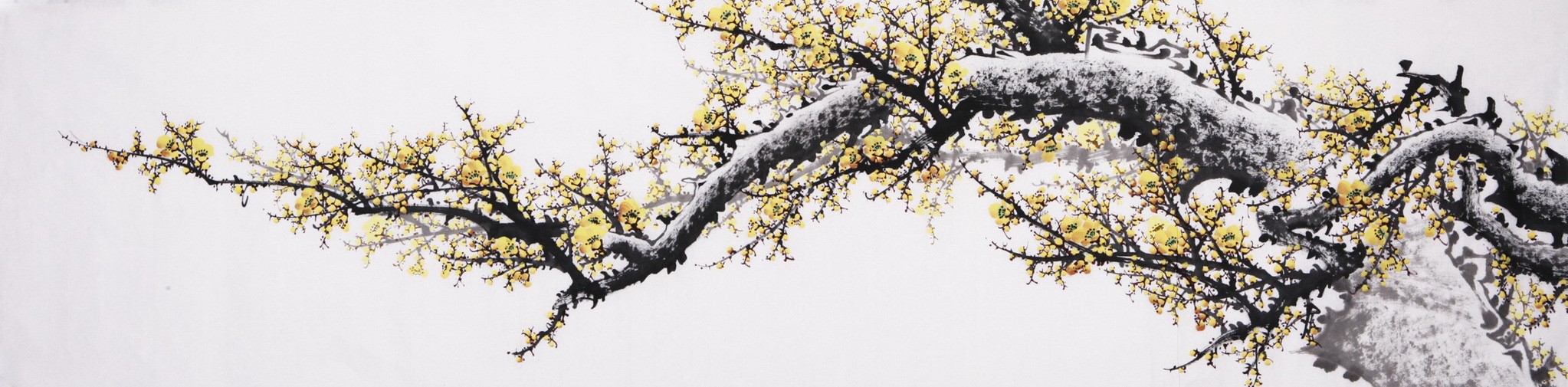 Plum - CNAG004196