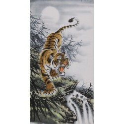 Tiger - CNAG000042
