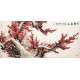 Plum - CNAG004197