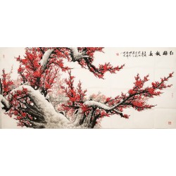 Plum - CNAG004197