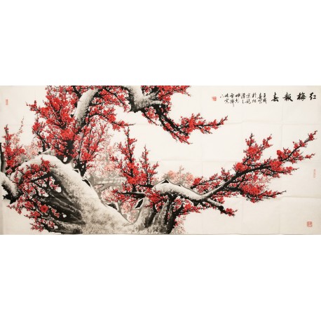 Plum - CNAG004197