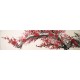 Plum - CNAG004200