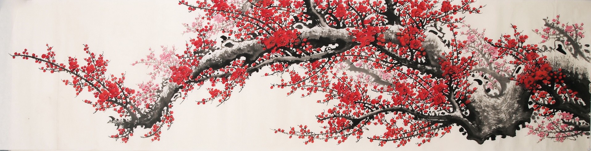 Plum - CNAG004201