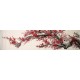 Plum - CNAG004202