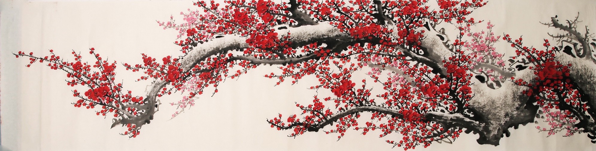 Plum - CNAG004202