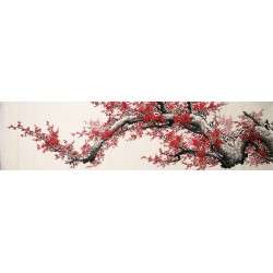 Plum - CNAG004203