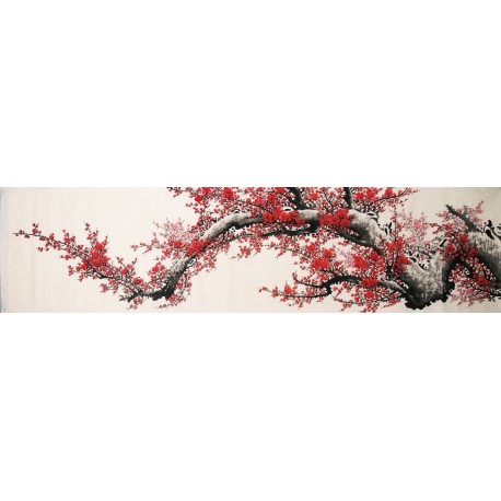 Plum - CNAG004203
