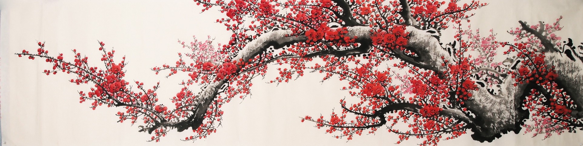 Plum - CNAG004203