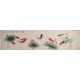 Fish - CNAG004206