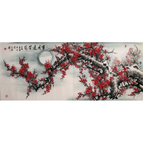 Plum - CNAG004207