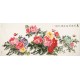 Peony - CNAG004211