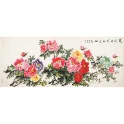 Peony - CNAG004211