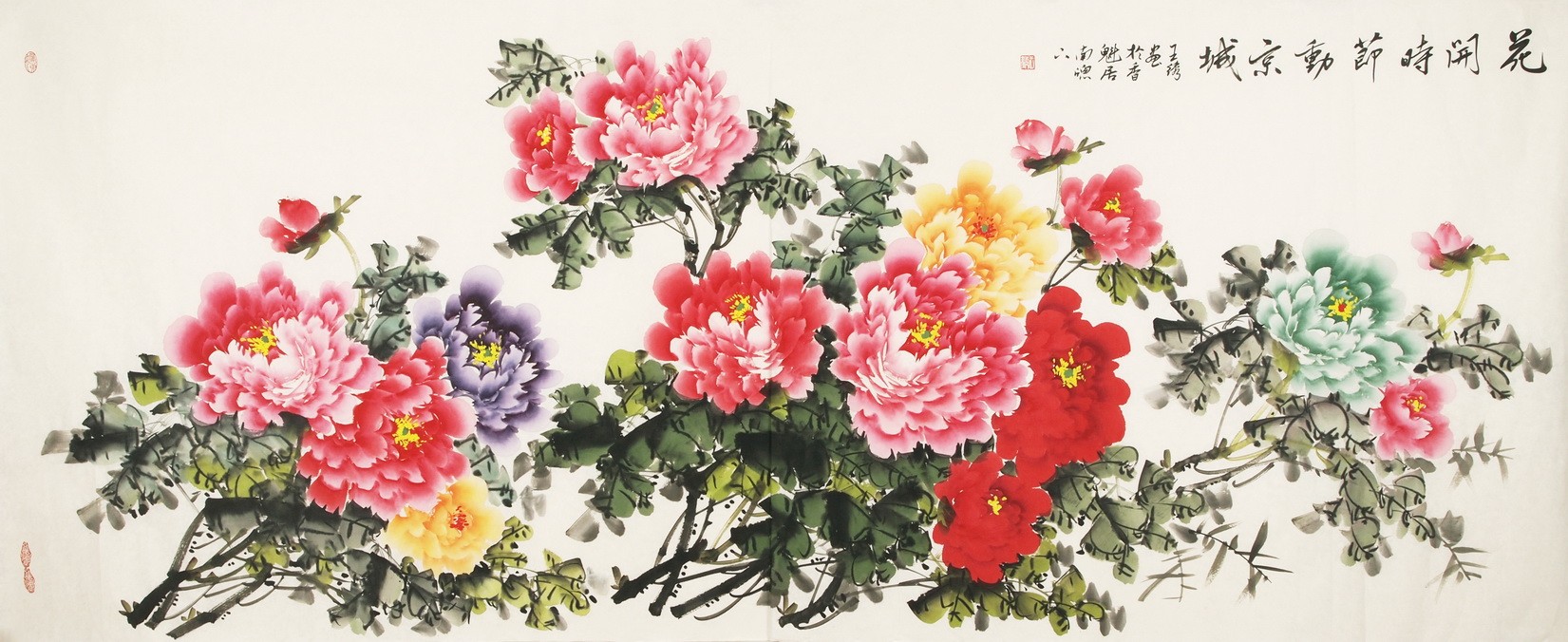 Peony - CNAG004211