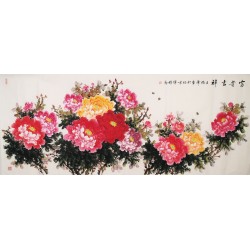 Peony - CNAG004213