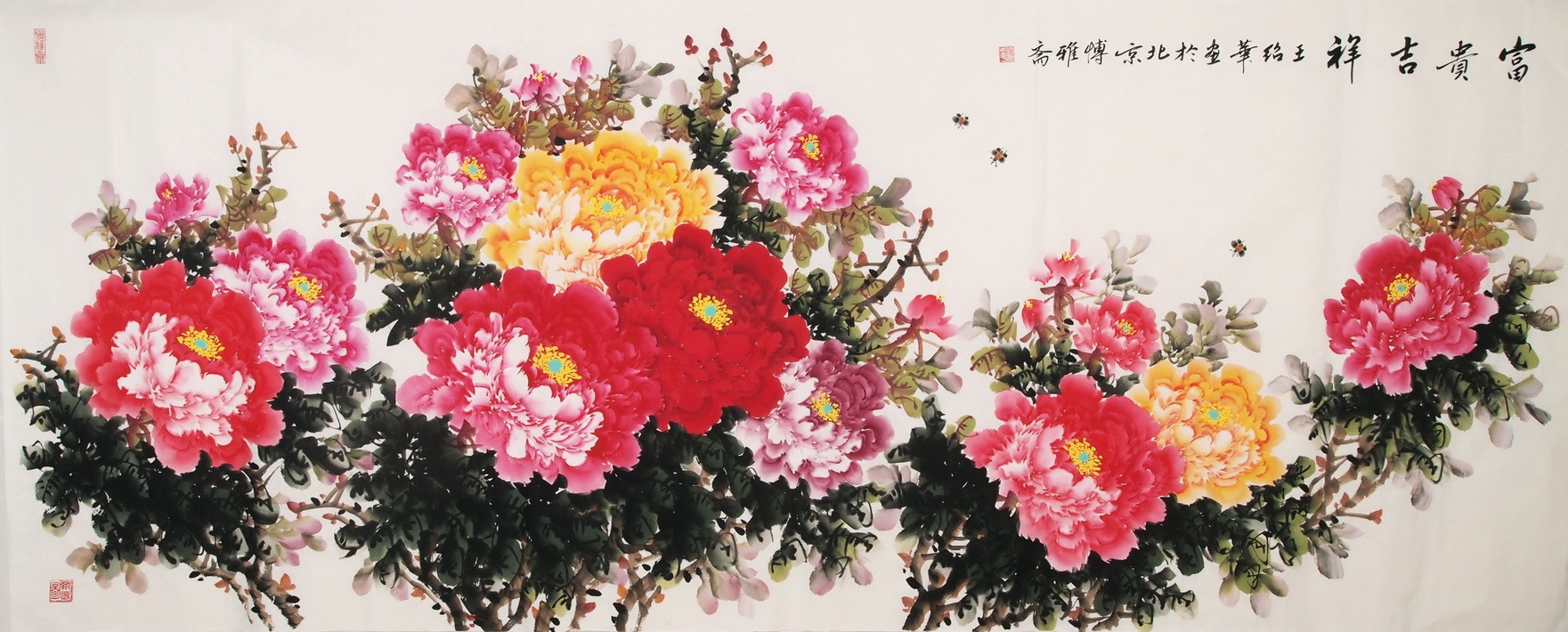 Peony - CNAG004213