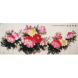 Peony - CNAG004214