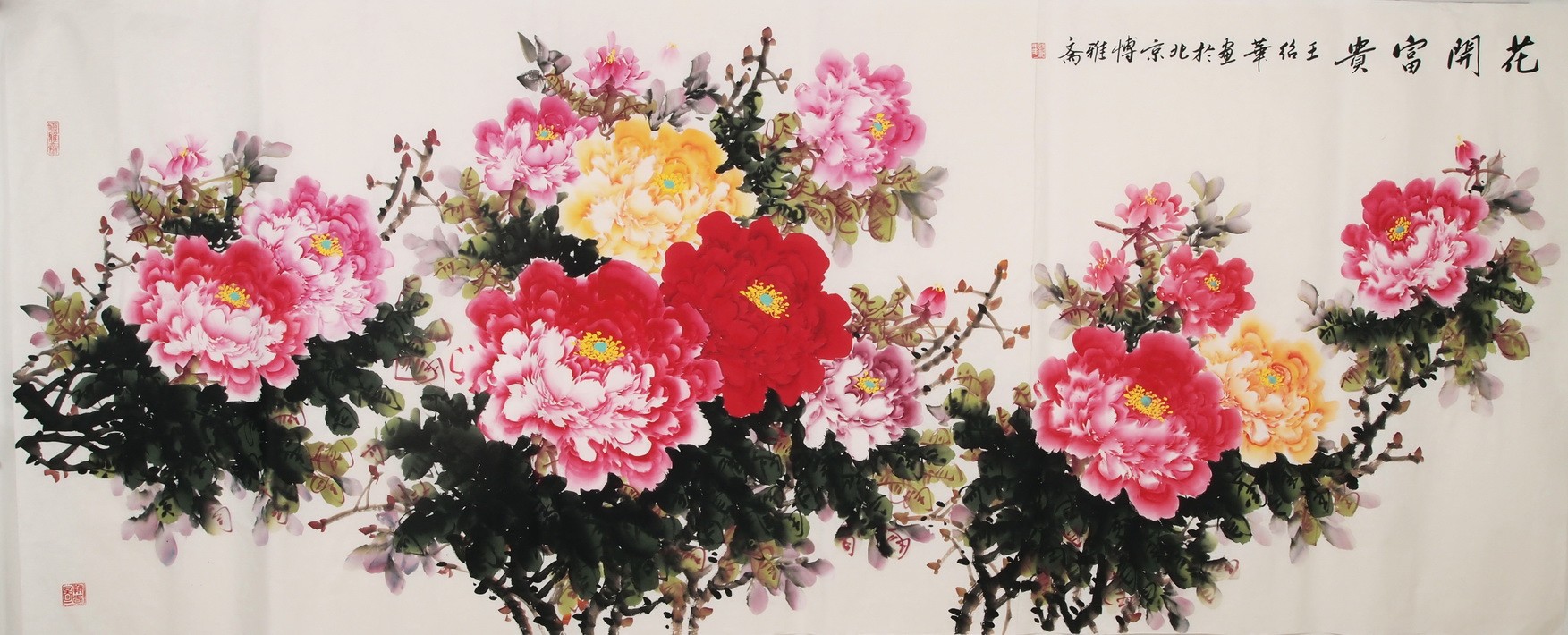 Peony - CNAG004214