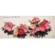 Peony - CNAG004215