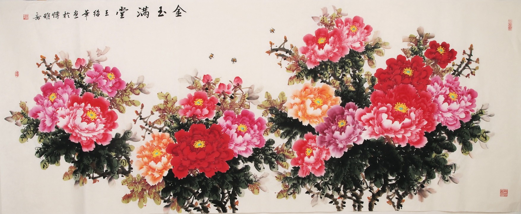Peony - CNAG004215
