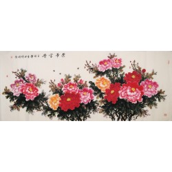 Peony - CNAG004216