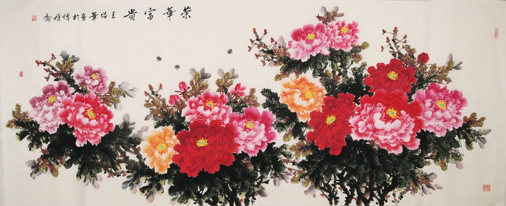 Peony - CNAG004216