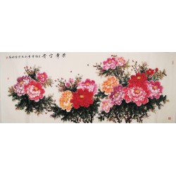 Peony - CNAG004217