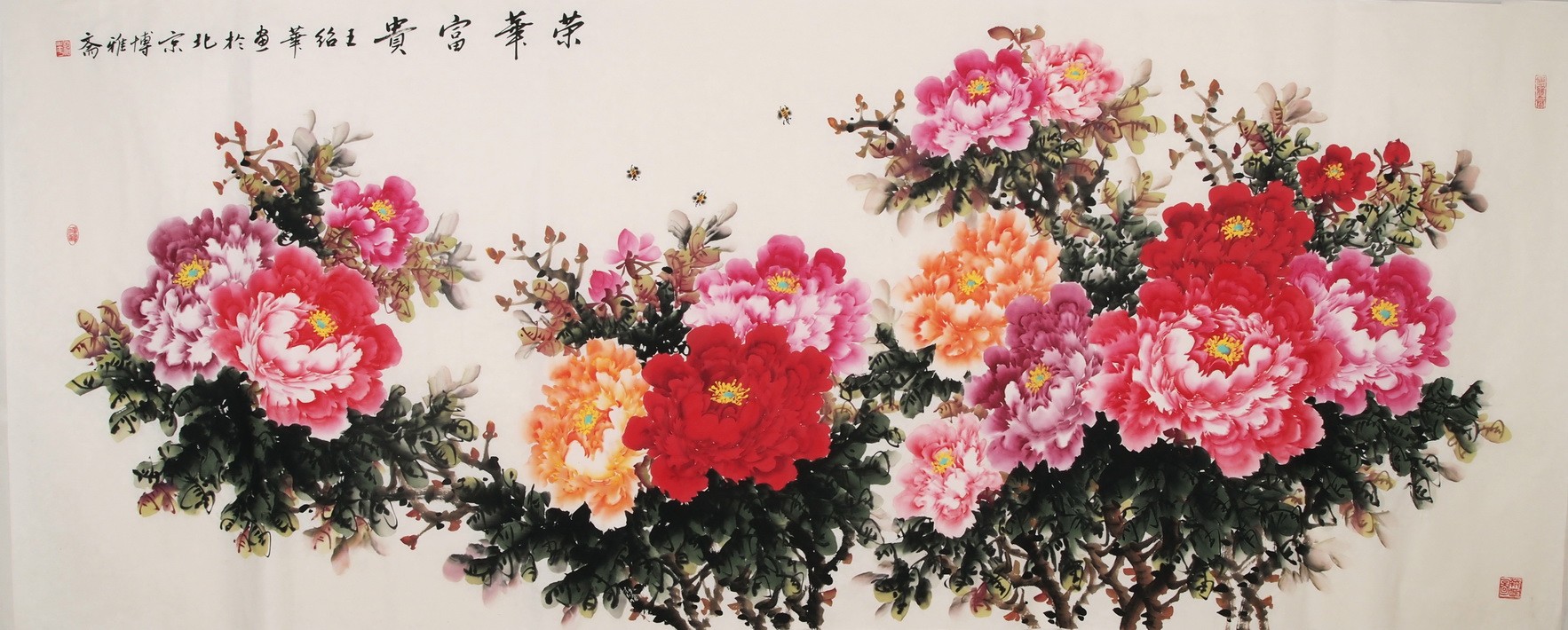 Peony - CNAG004217