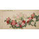 Peony - CNAG004218
