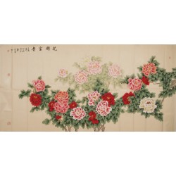 Peony - CNAG004218
