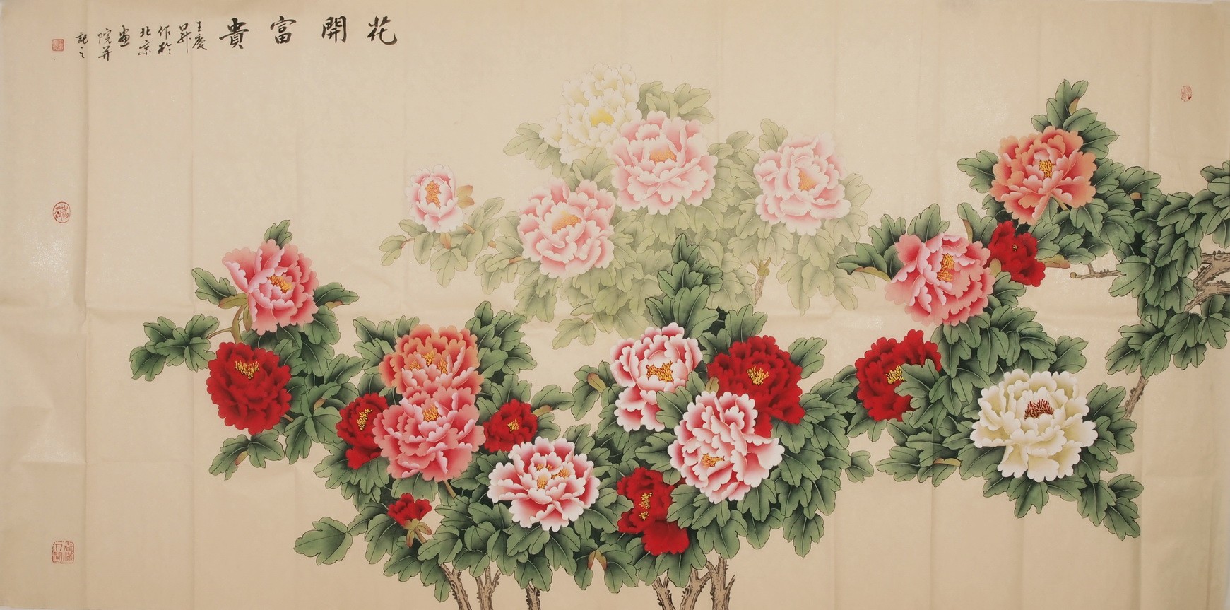 Peony - CNAG004218