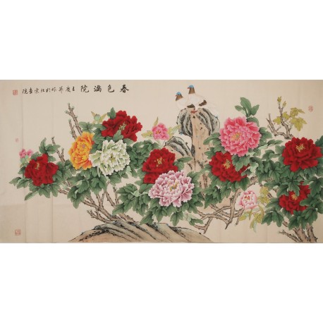 Peony - CNAG004219