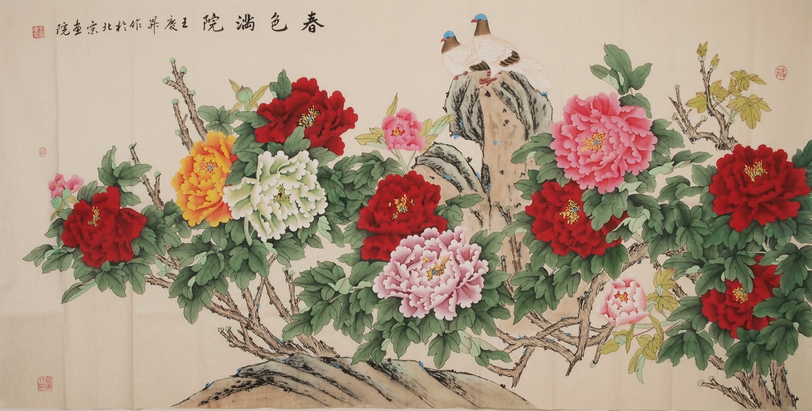 Peony - CNAG004219