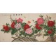 Peony - CNAG004220
