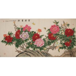 Peony - CNAG004220