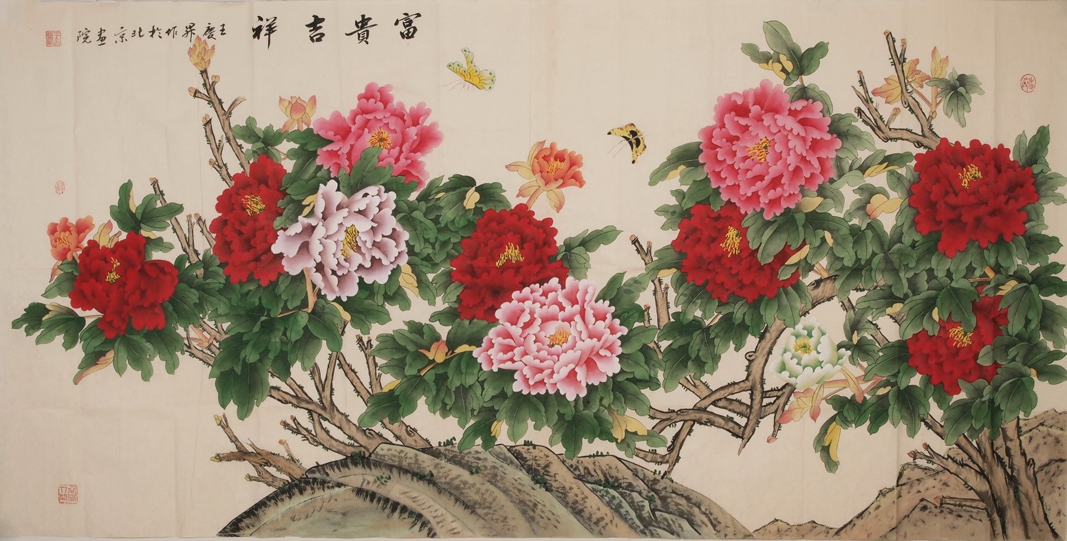 Peony - CNAG004220