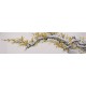 Plum - CNAG004221
