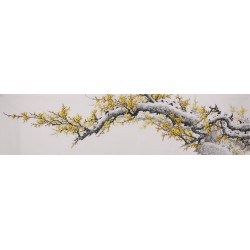 Plum - CNAG004221