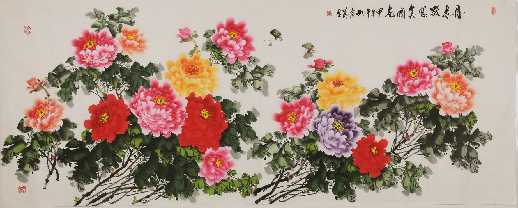 Peony - CNAG004223