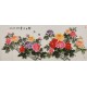 Peony - CNAG004225