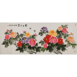 Peony - CNAG004225