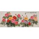 Peony - CNAG004226