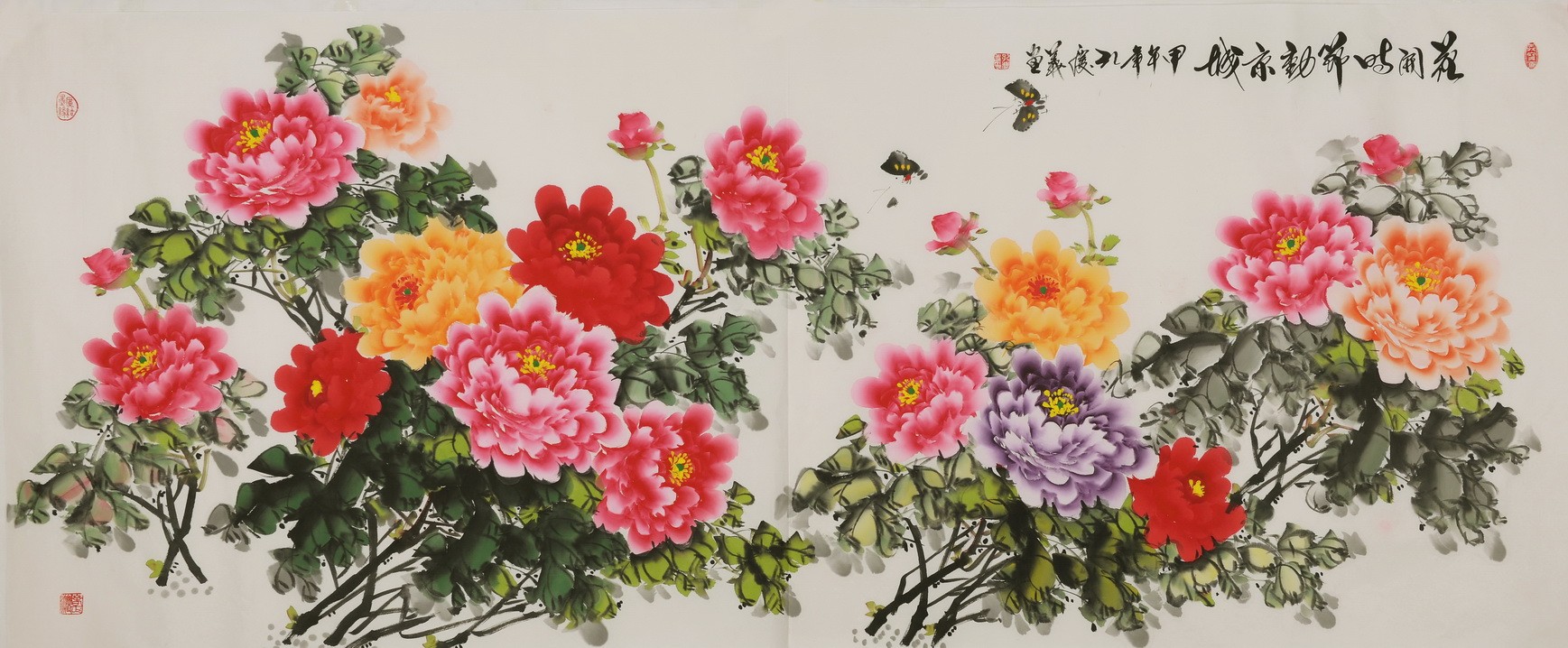 Peony - CNAG004226