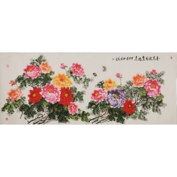 Peony - CNAG004227